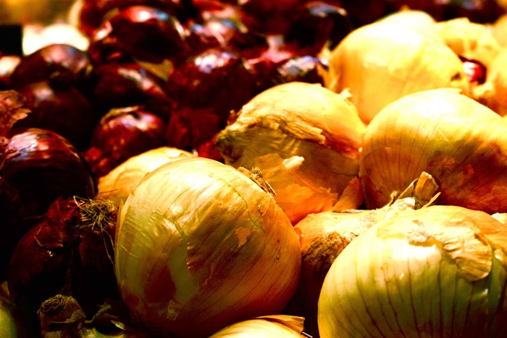 Onions1