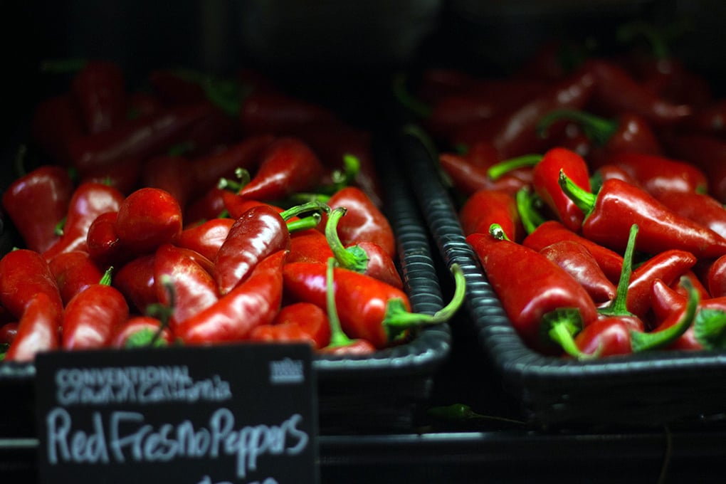 Red Chile Peppers 1