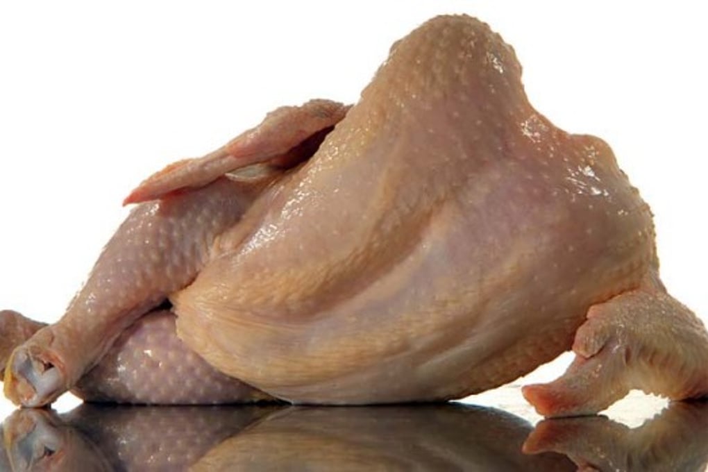 raw chicken1