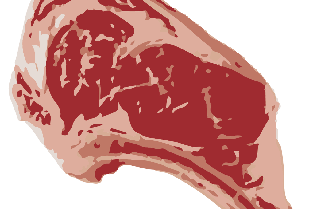 illo ribeye