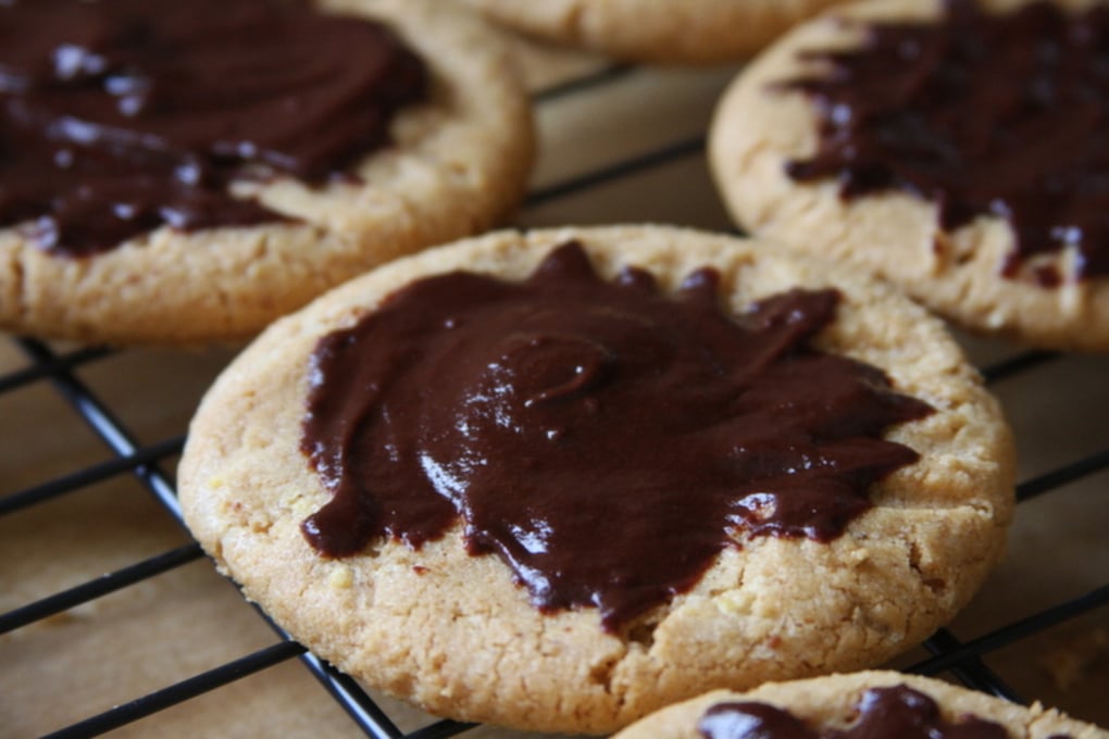 peanut butter cookie with chocolate
