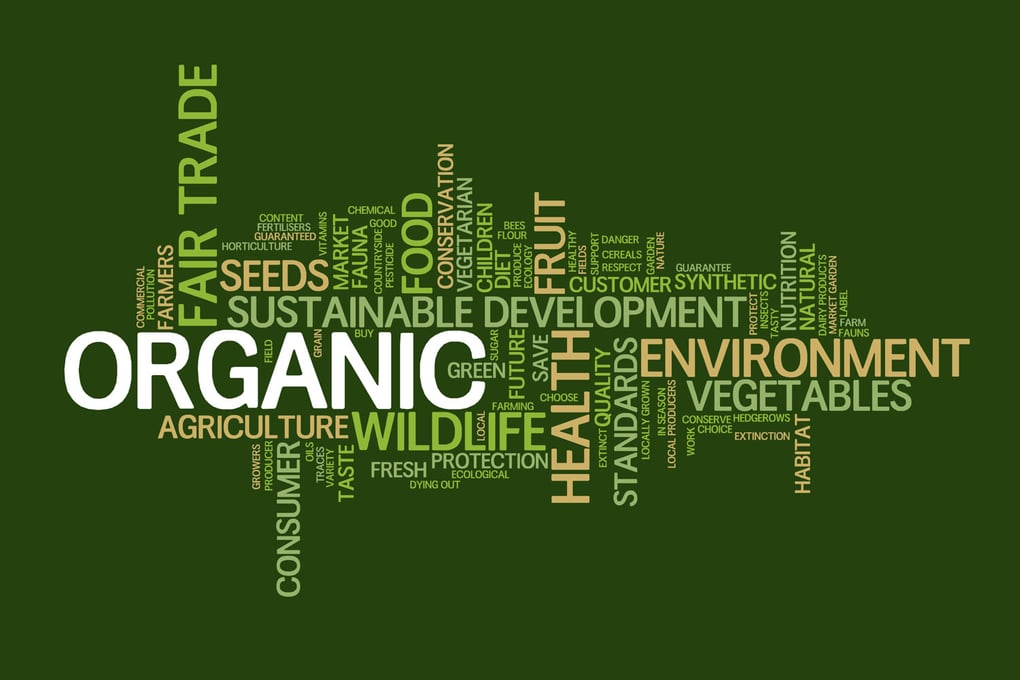Sustainable Food Words