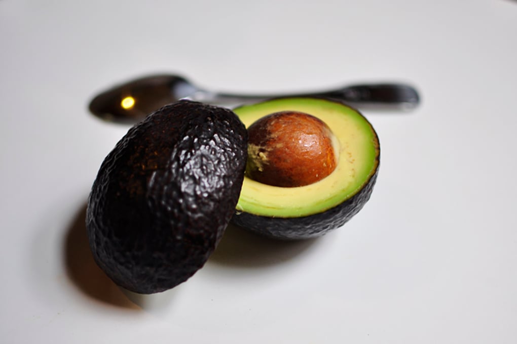 avocado 5