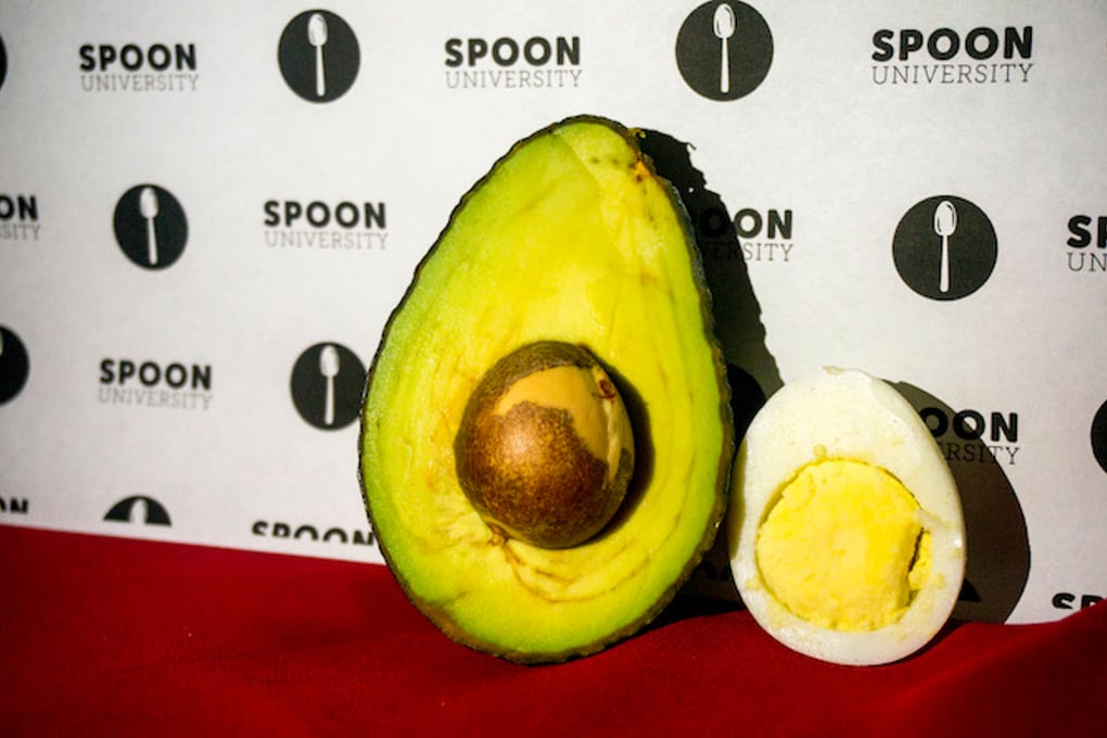 Eggocado 3