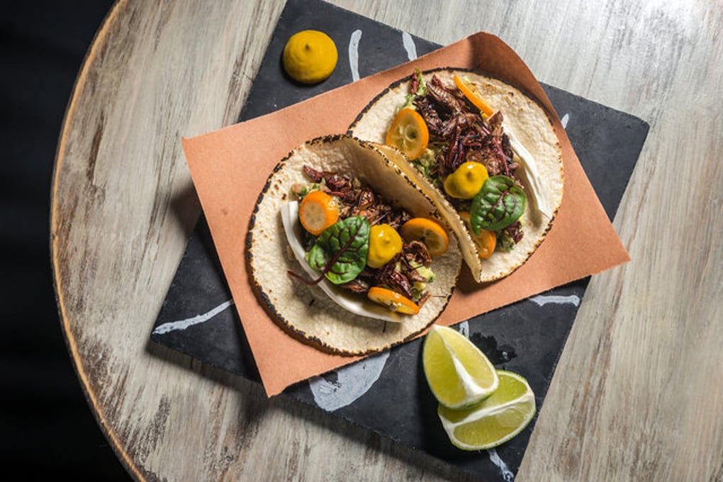 10 flicks to see at the tribeca film fest where to eat drink after