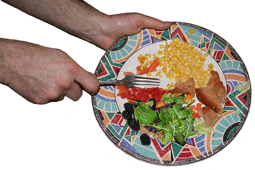 foodWastePlate