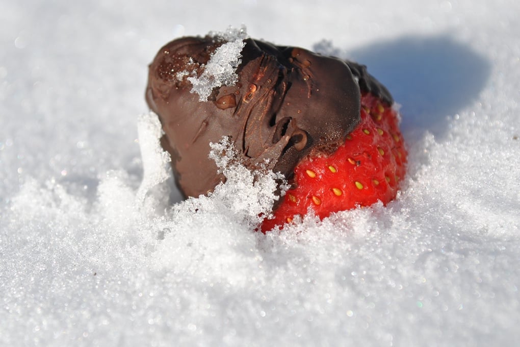 Strawberry In Snow 11