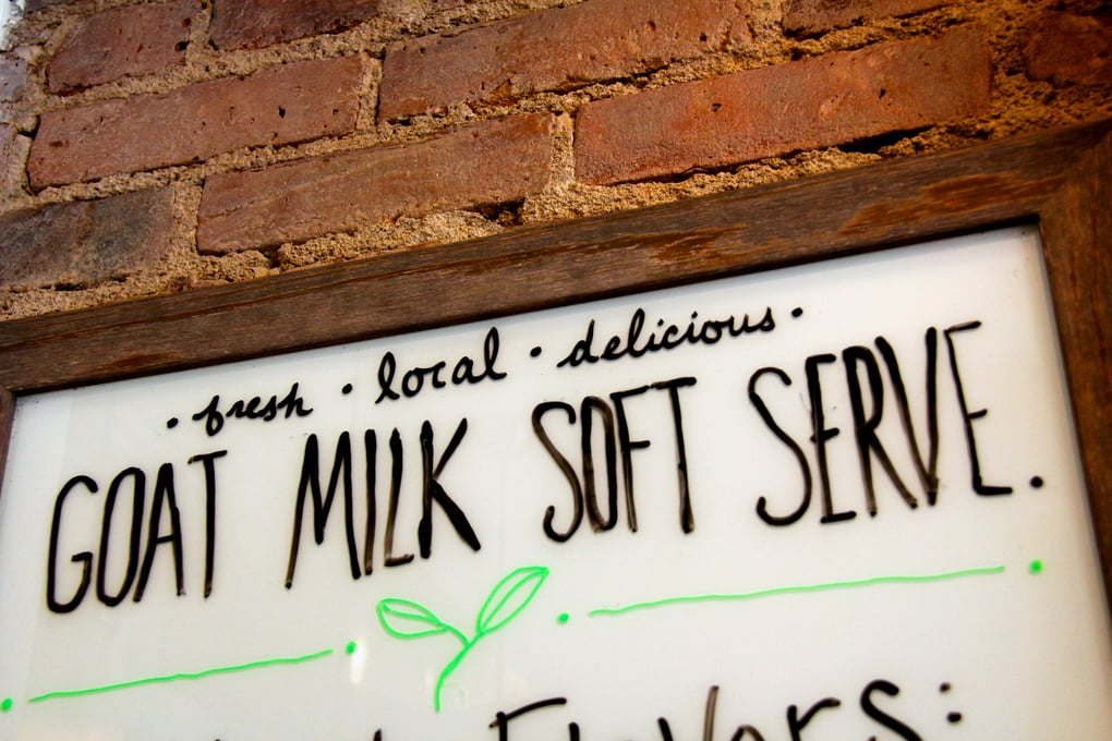 Goat Milk Soft Serve Dylan