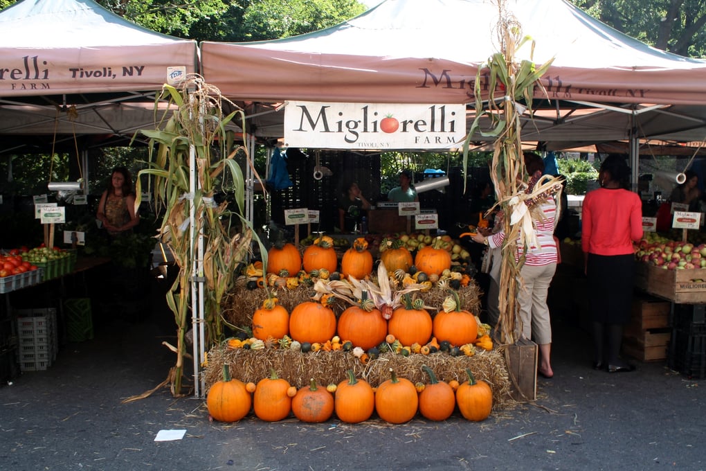 harvest display 1