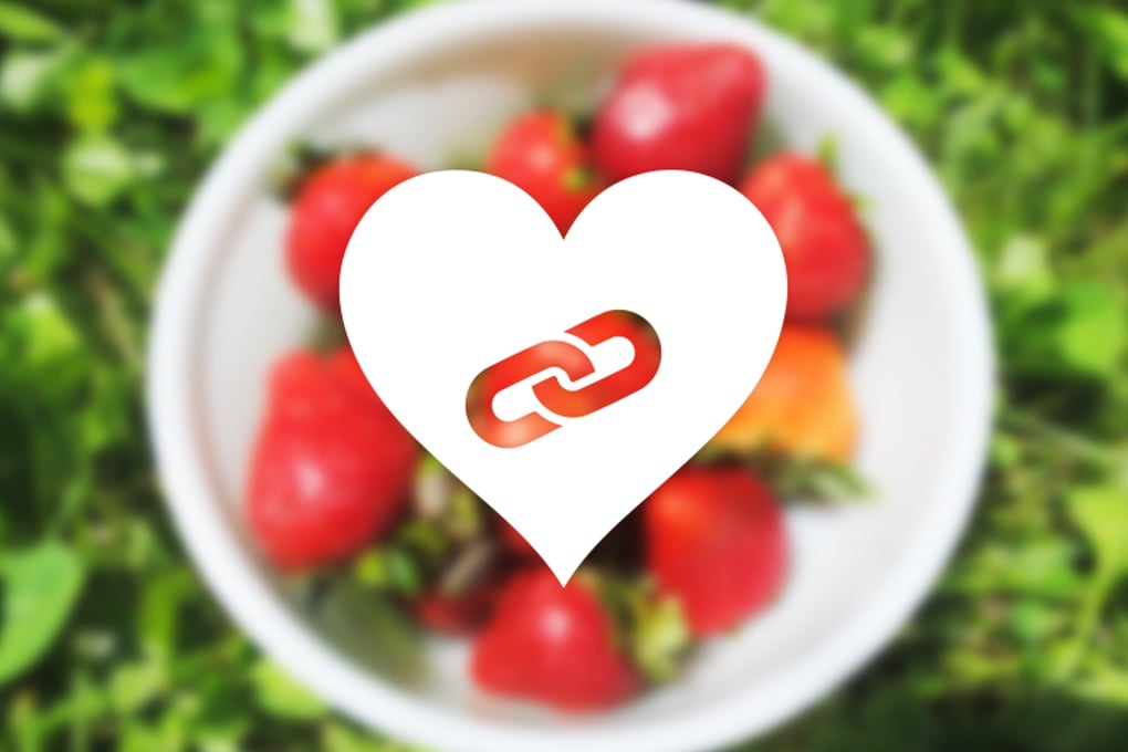 links we love11