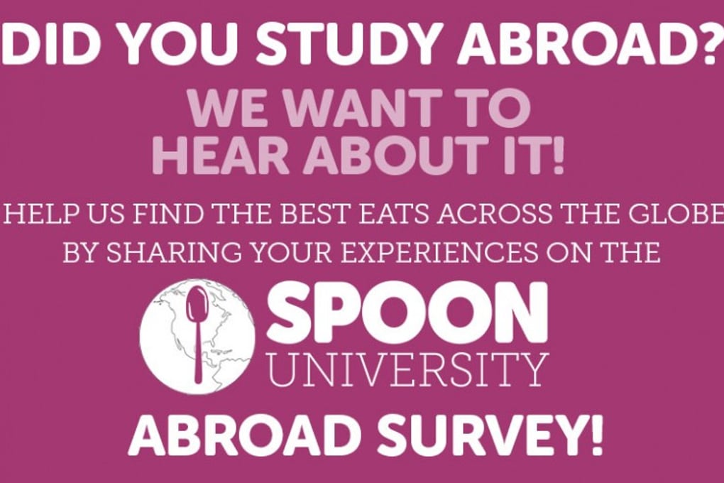 abroad survery e1403713833235