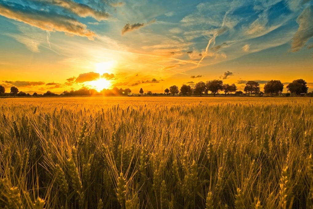6838241 farm wallpaper