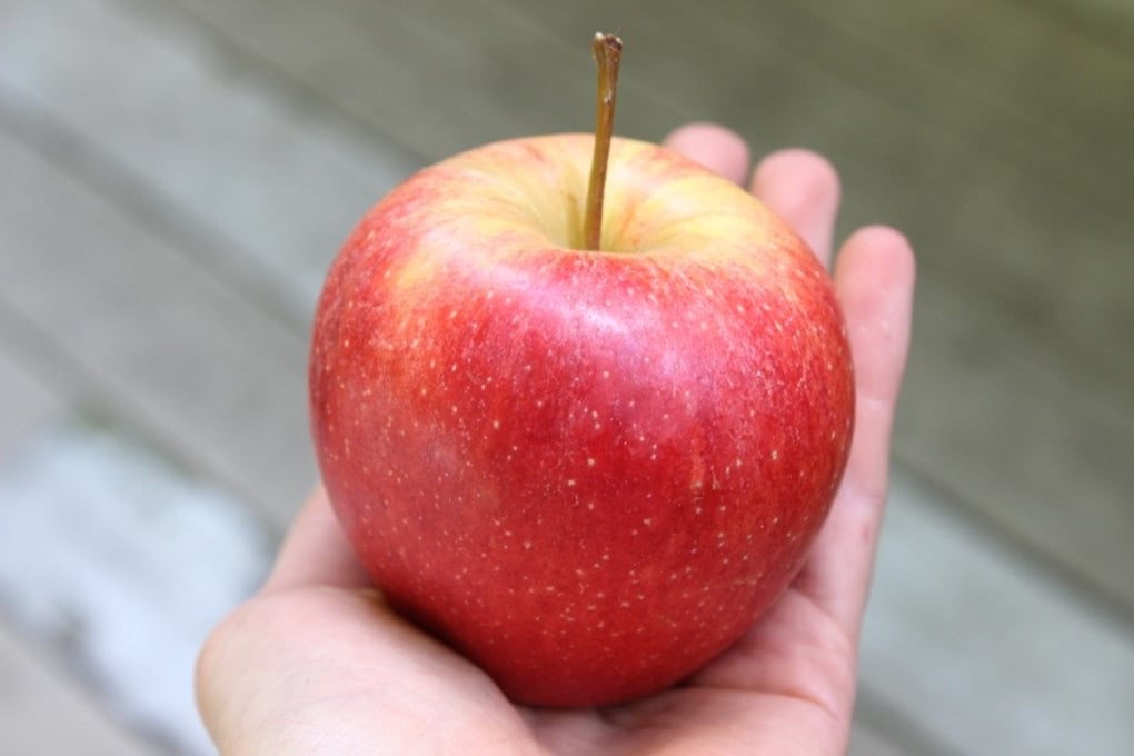 Baker Katherine CarbStory Apple