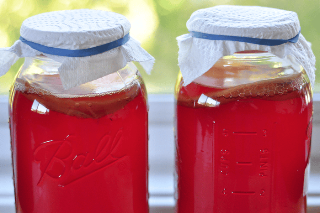 FeaturedPhotoKombucha