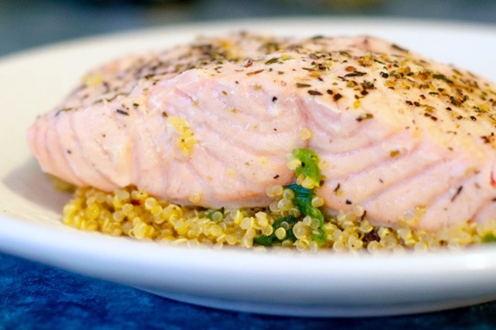 s 2 salmon1