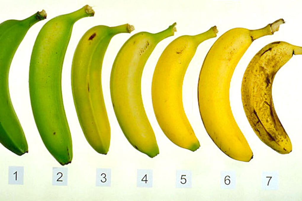 bananaripeningchart2