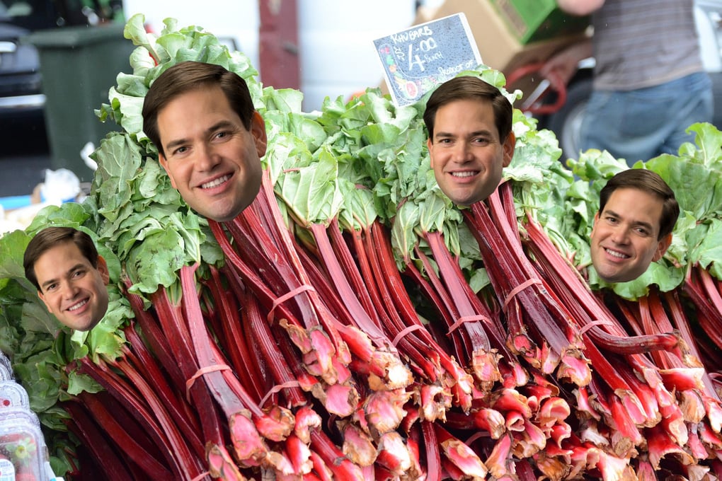 Rubio By Flickr User Alpha and US Government Printing Office