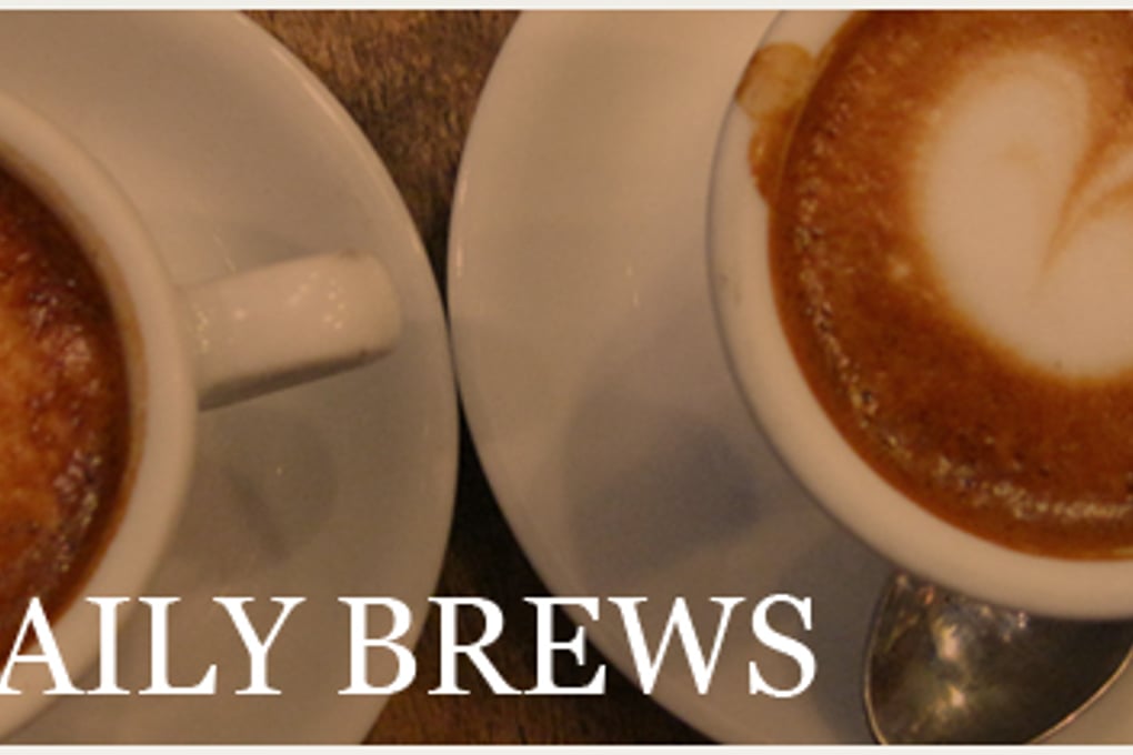 dailybrew 1