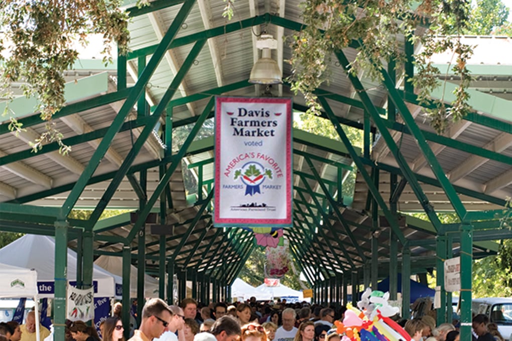 davis farmers cropped