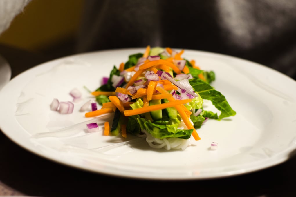 spring rolls 1044