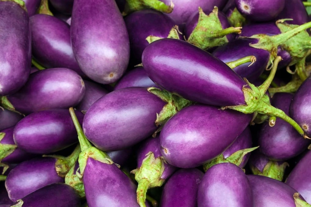 Eggplant 1 1