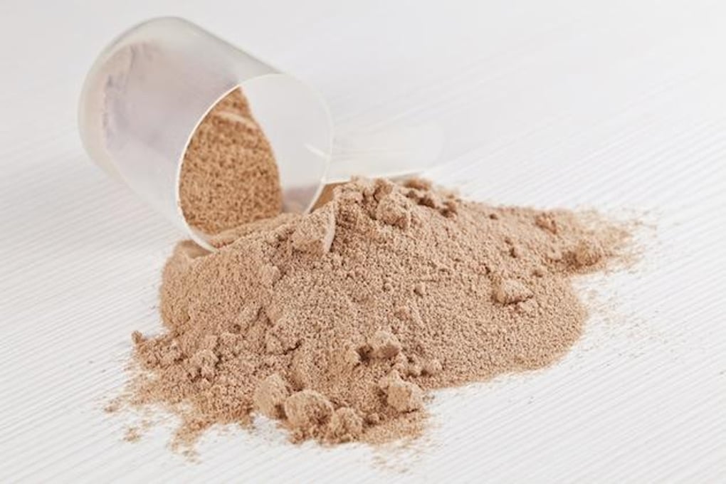 protein powder main