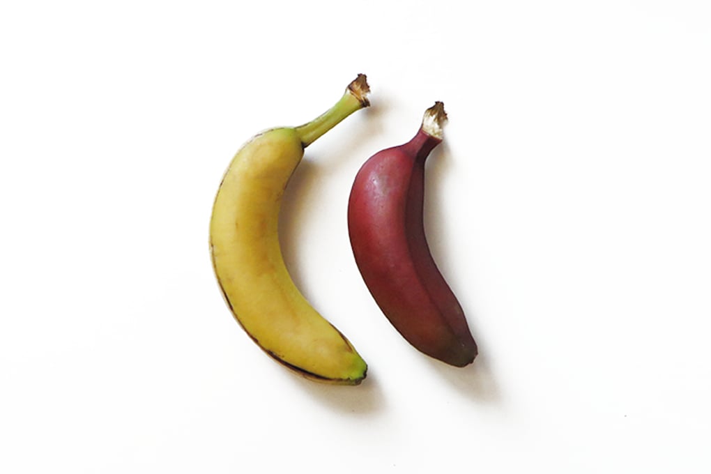 red yellow banana comparison
