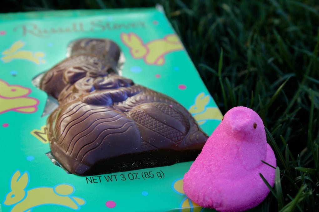 bunnypeep 2