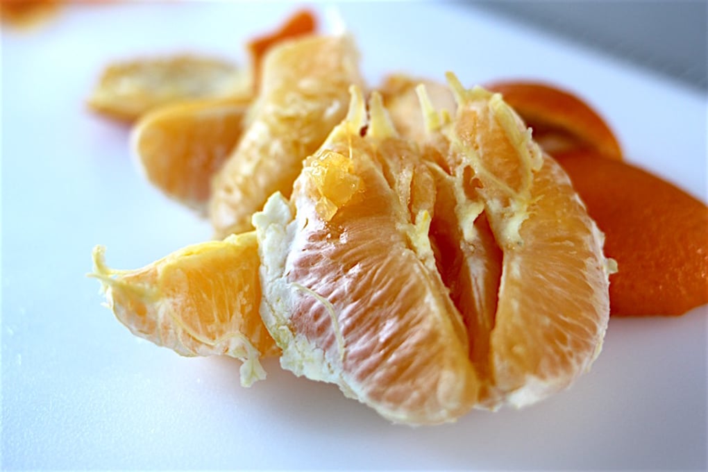 OrangePeelHack Mirabito FeaturedPhoto
