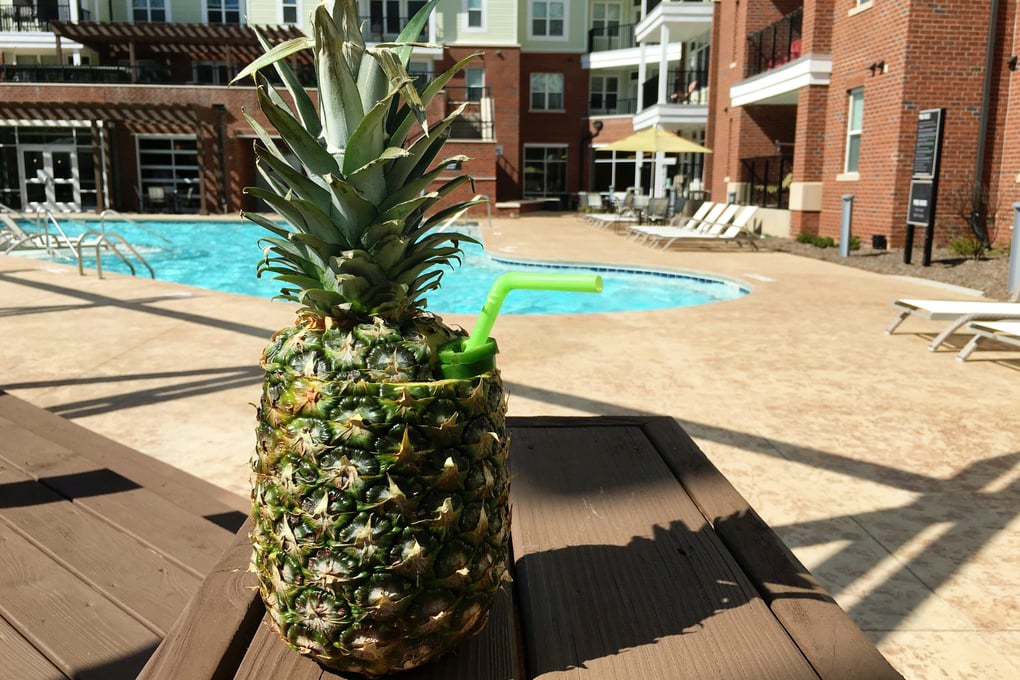 pool pineapple copy