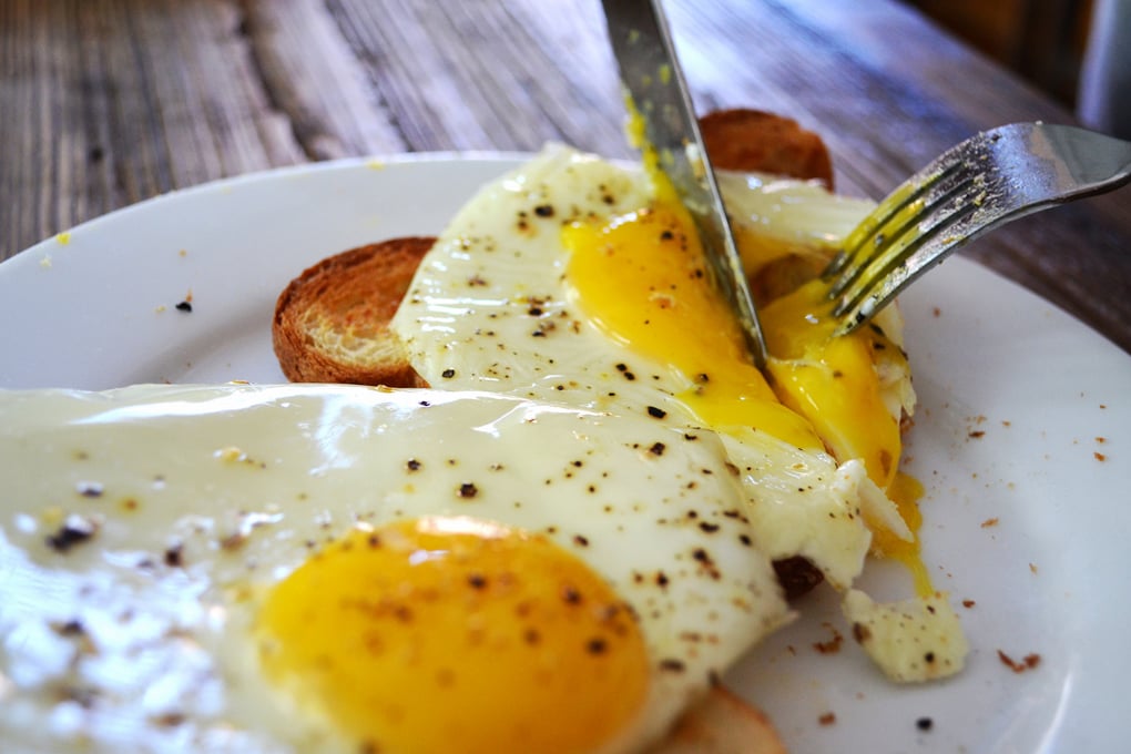 egg
