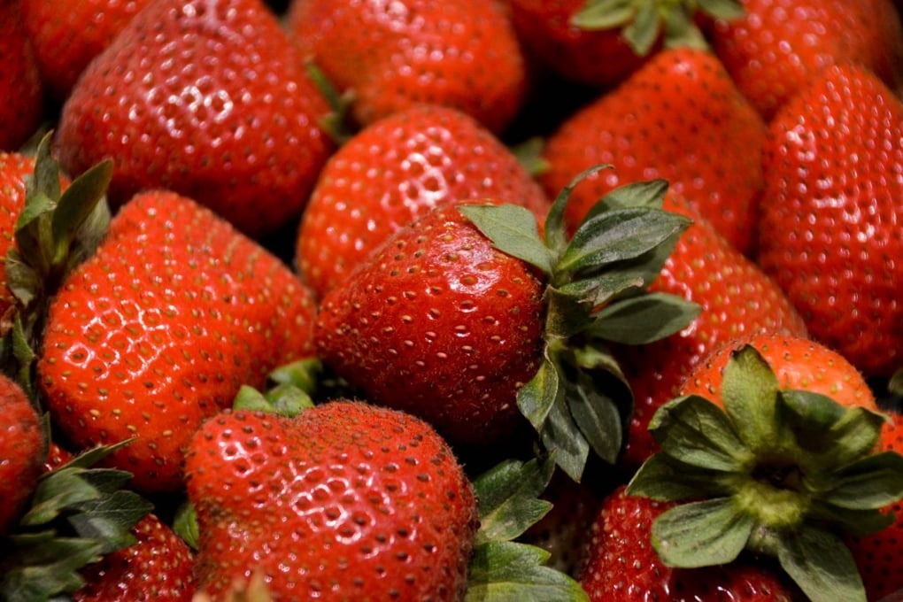 Strawberries Jocelyn Hsu