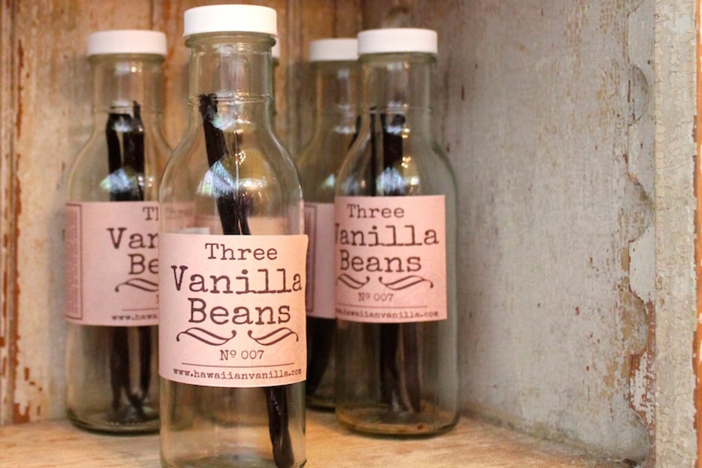 vanillabeans