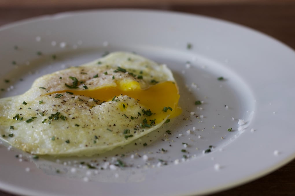 egg 1