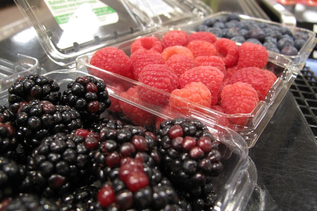 berries1