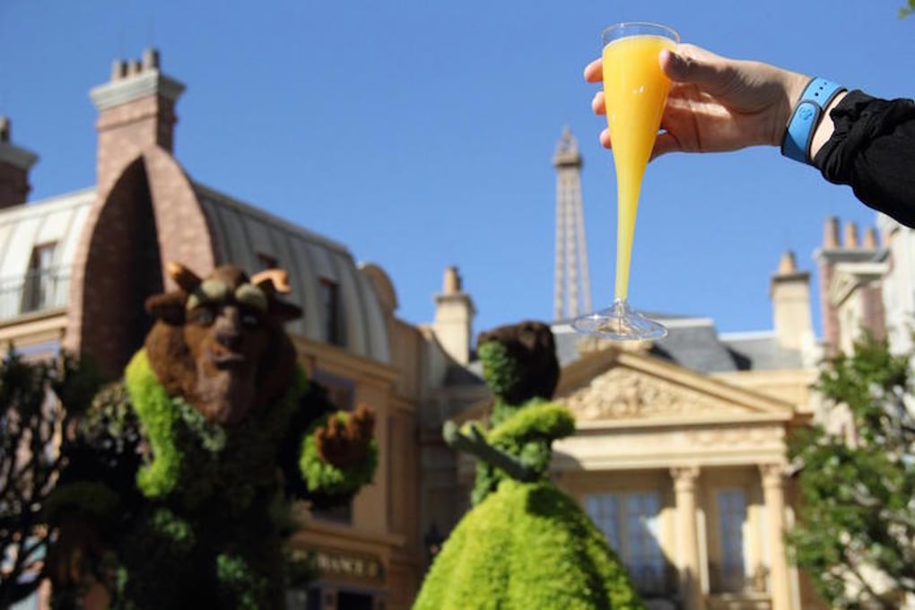 Mimosa