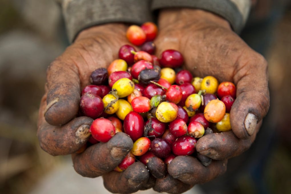o FAIR TRADE COFFEE facebook e1459295029124