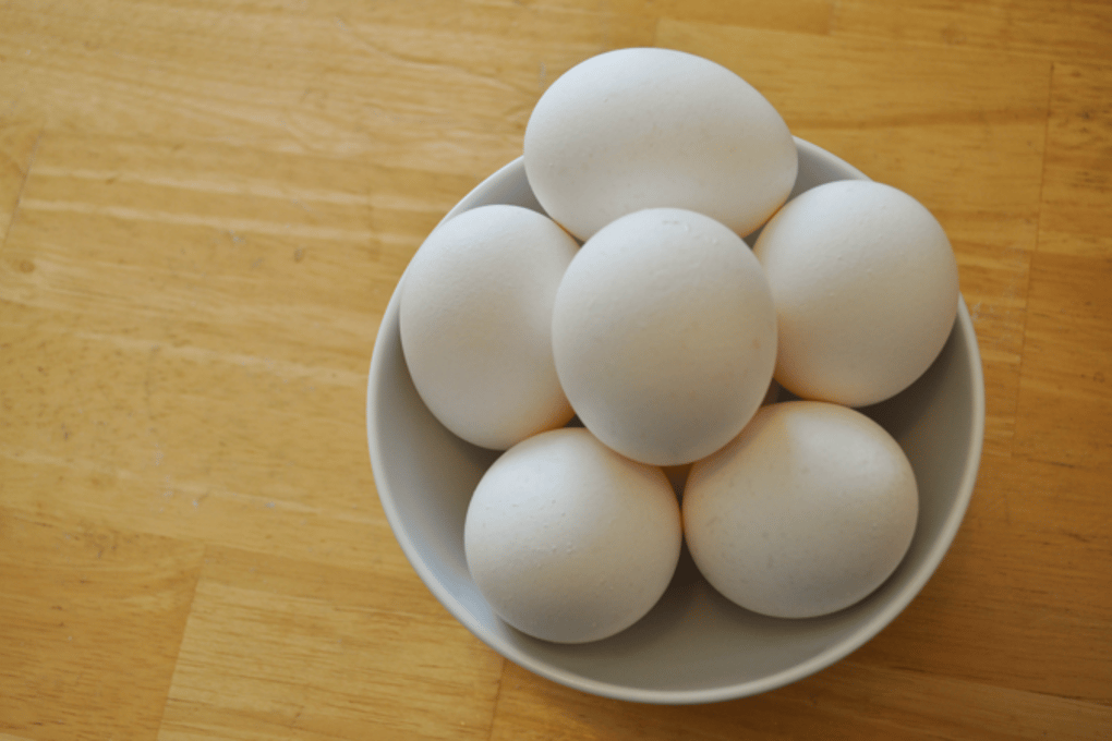 Michelle Lin Egg Photo