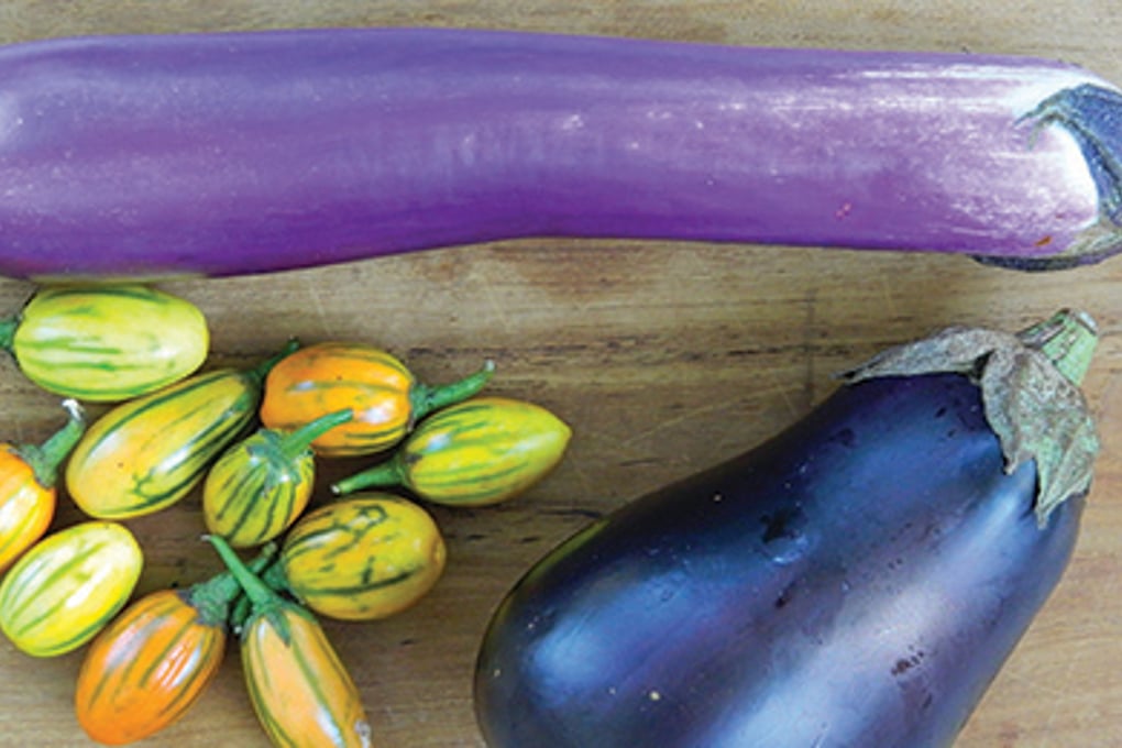 eggplant