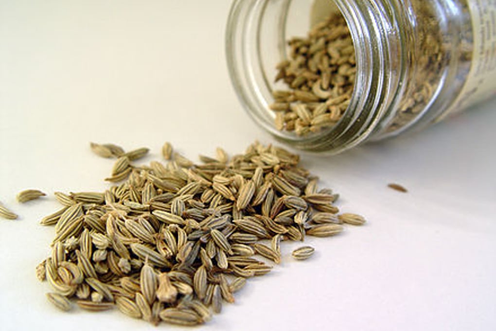 Fennel