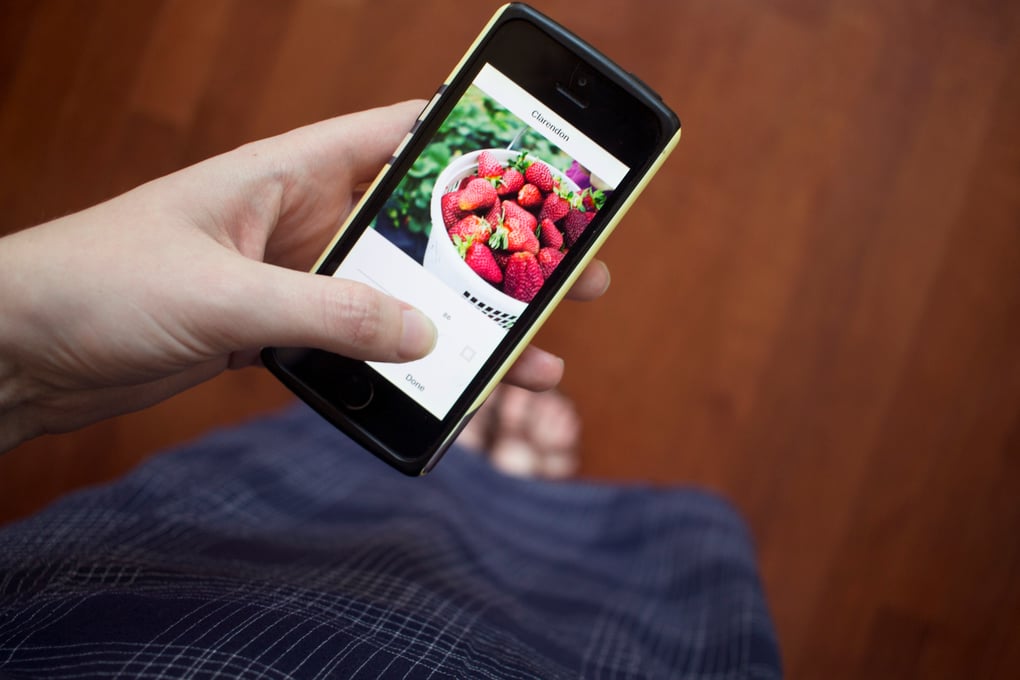photofood1