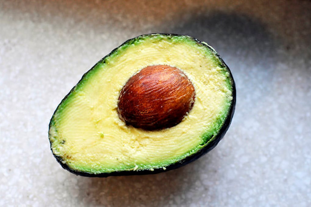 Avocado1