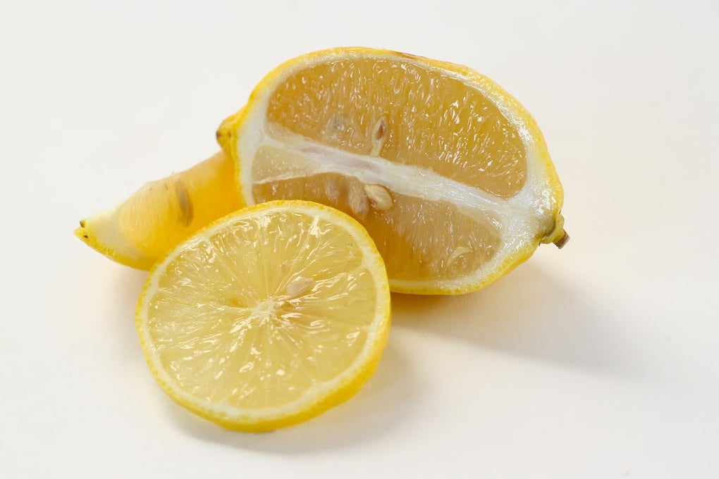 Lemon6 copy