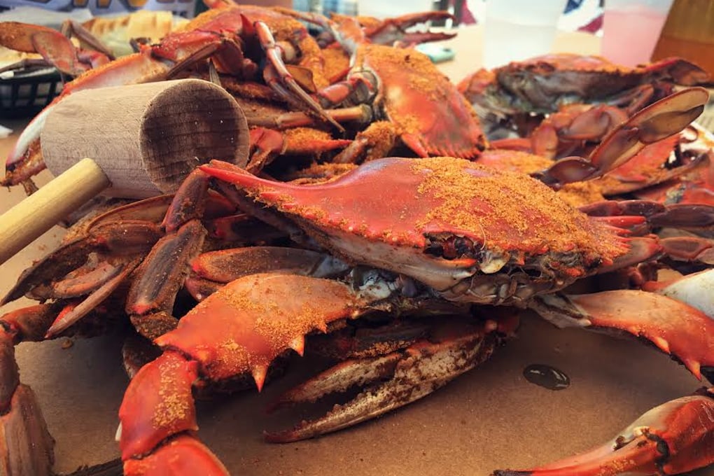 Crab 1