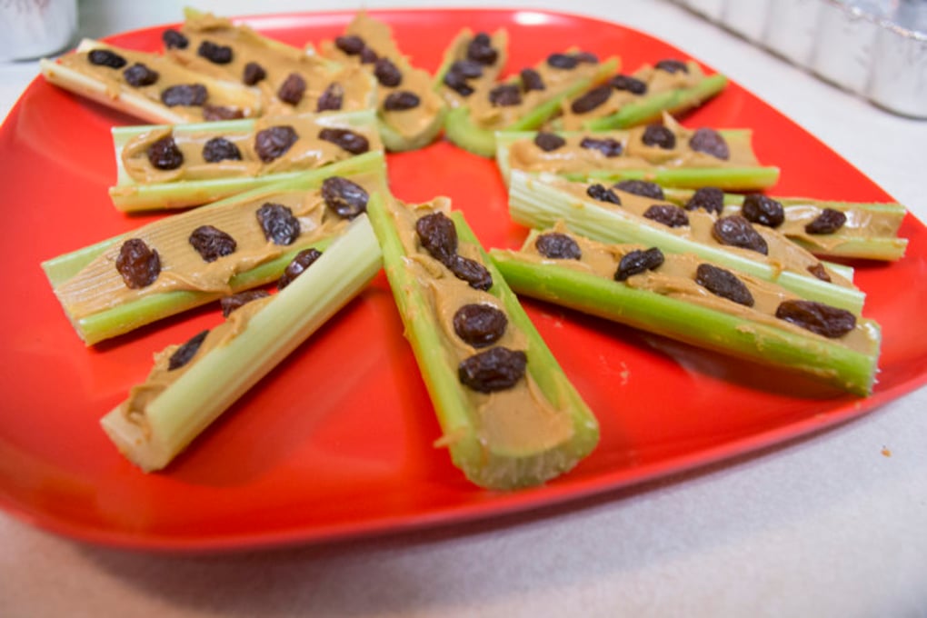 ants on a log