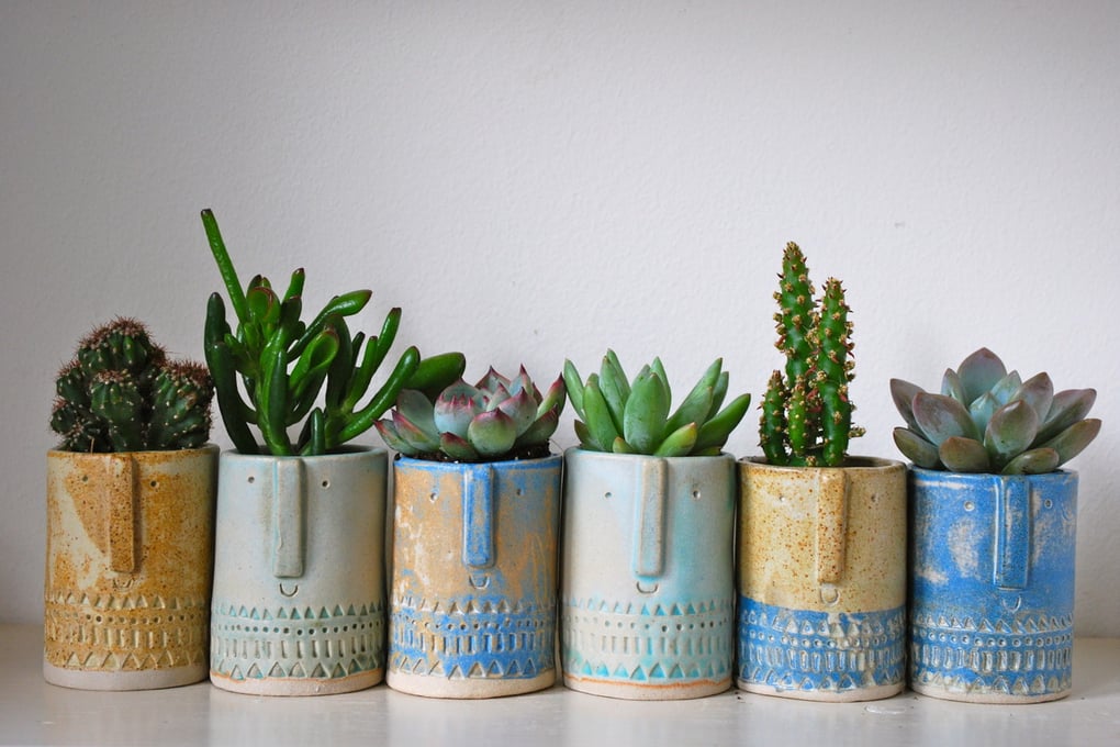 plantss