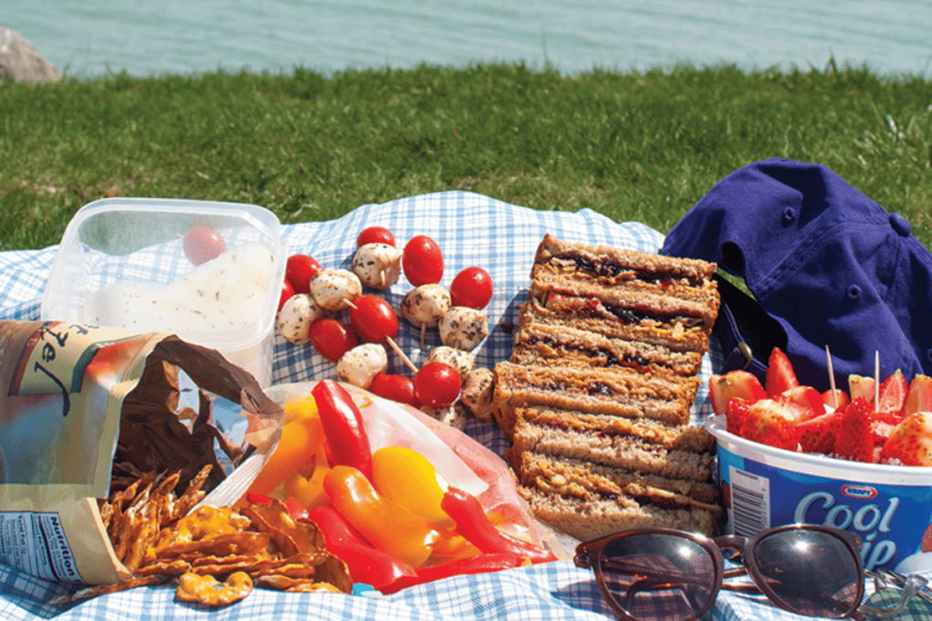 3 picnic1