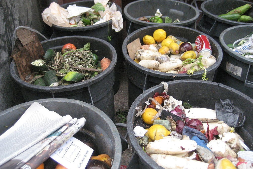 food trash