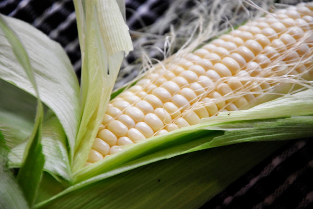 cornhusk