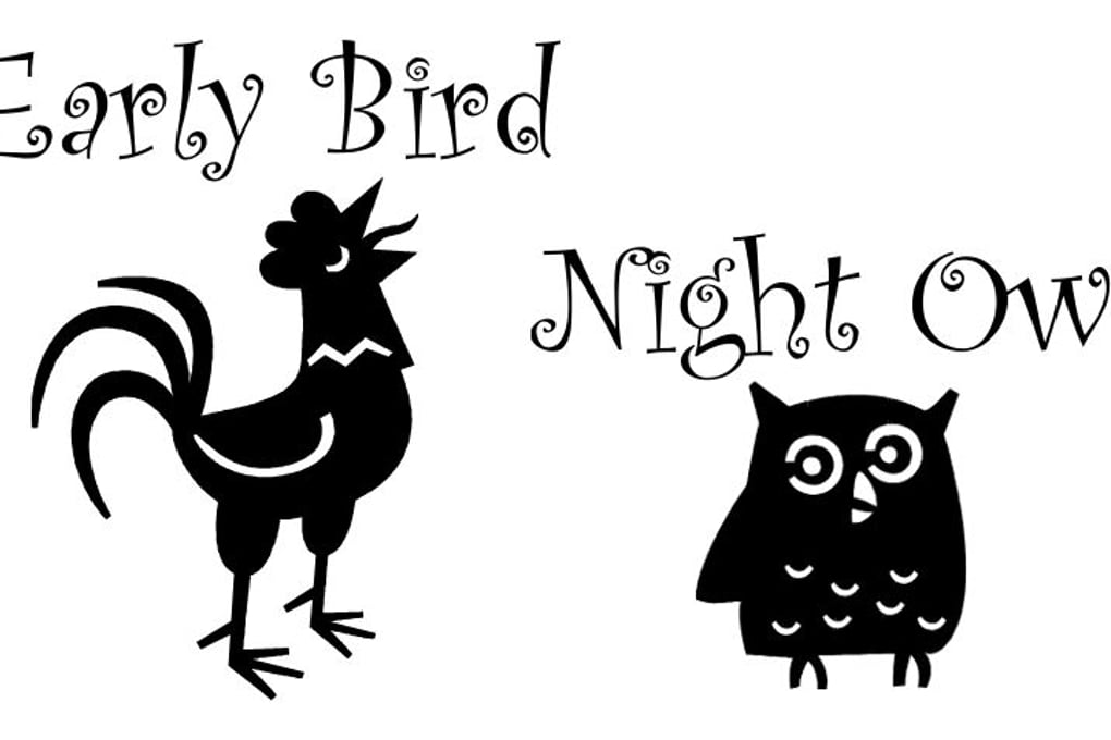 early bird night owl